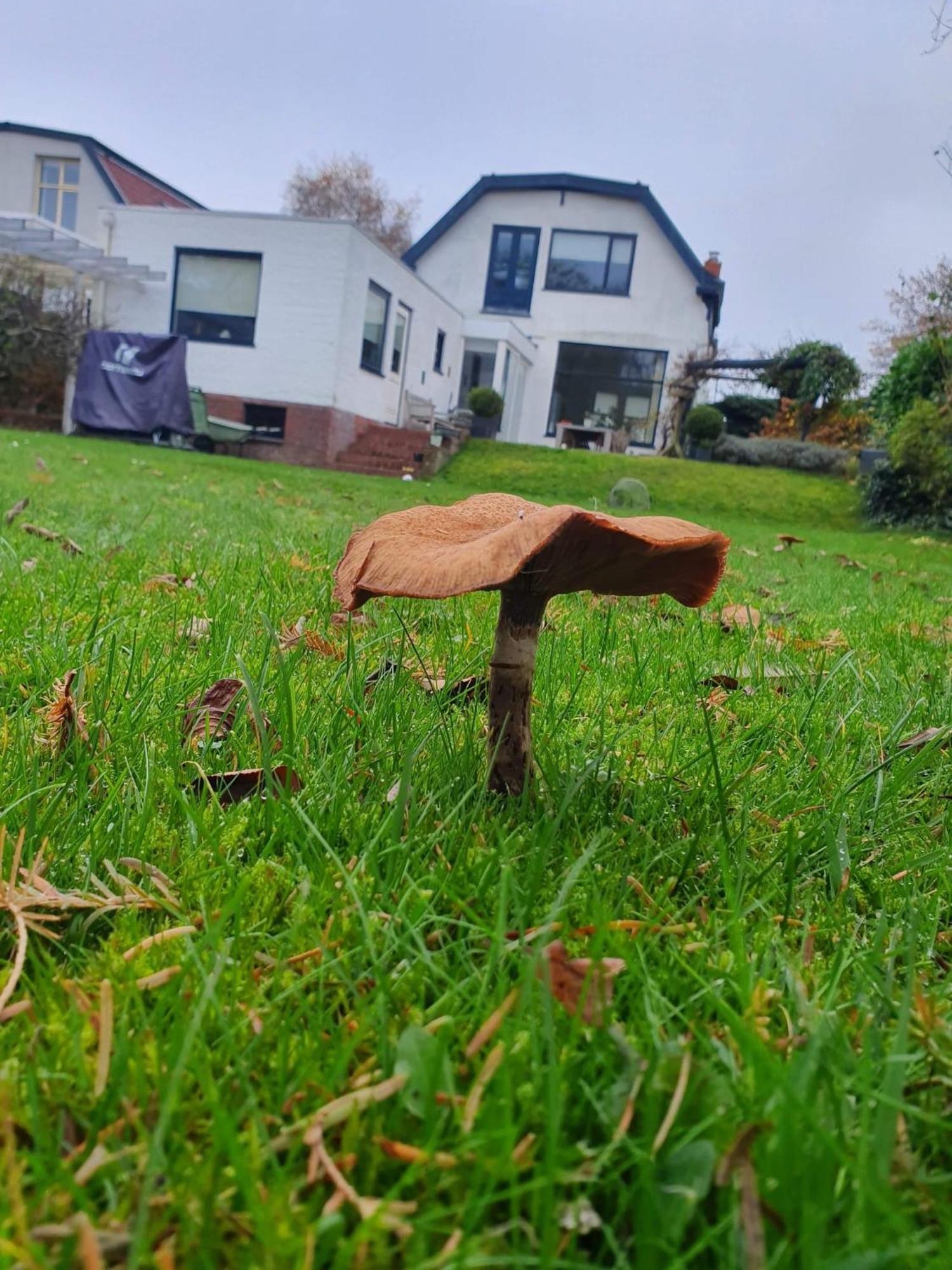 Zelfstandig Gastenverblijf In Het Groene Haren Nabij Groningen Kültér fotó