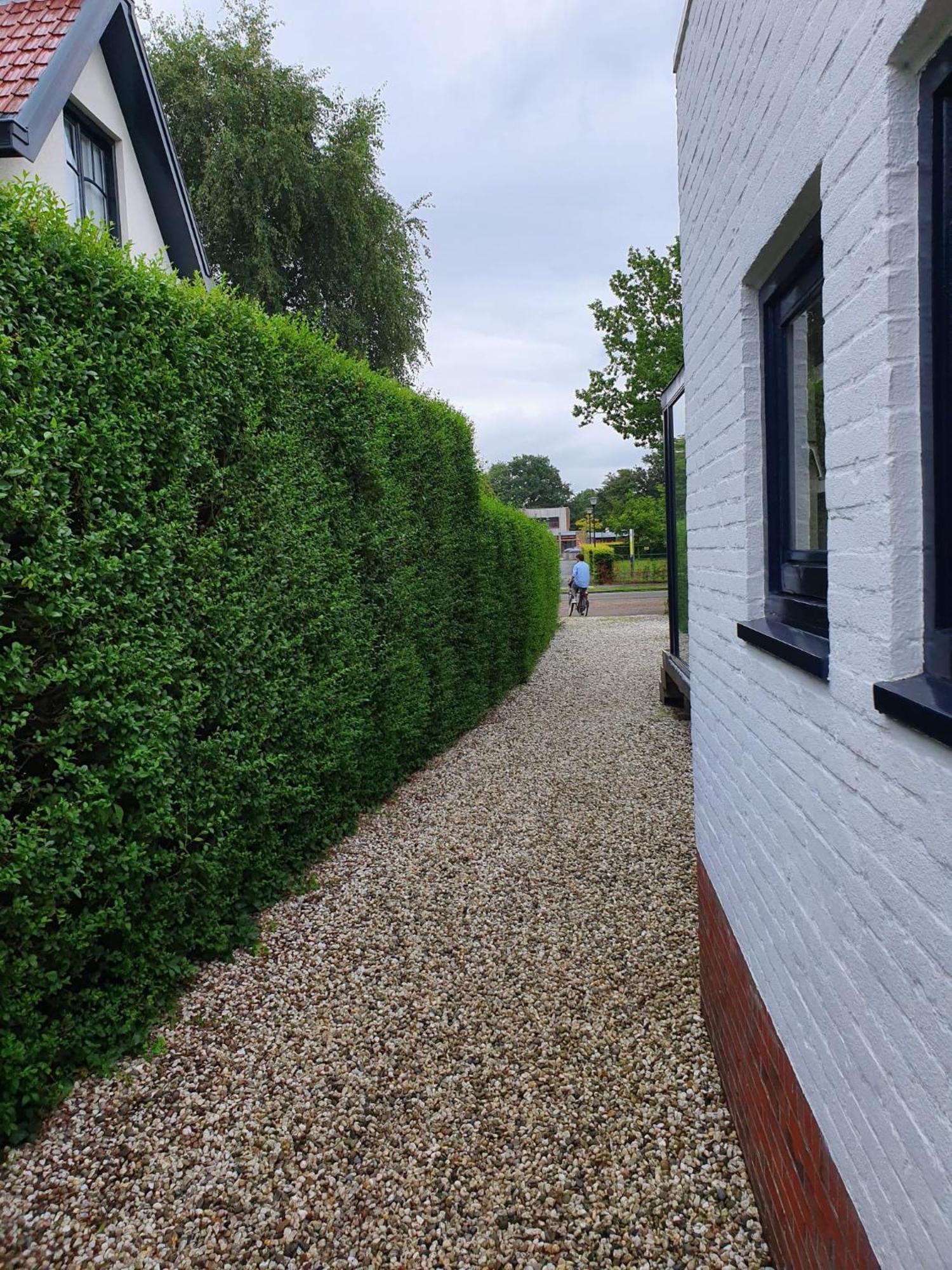 Zelfstandig Gastenverblijf In Het Groene Haren Nabij Groningen Kültér fotó